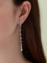 Classic Zircon Tassel Earrings