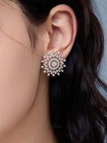 Firework Snowflake Earrings